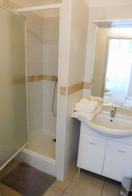 Appartement 4 Voyageurs Avec Terrasse - Wifi Каркассонн Екстер'єр фото